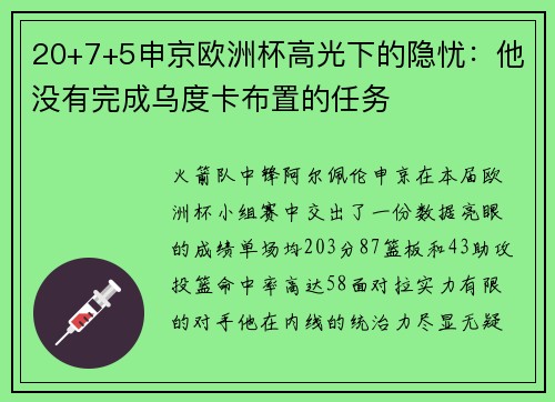 20+7+5申京欧洲杯高光下的隐忧：他没有完成乌度卡布置的任务